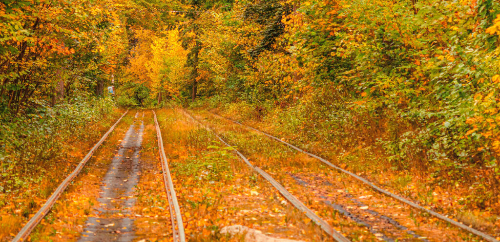 亞洲人類圖學院歷年大事記:秋季金黃林間的軌道象徵專業積累與穩定前行的傳承軌跡