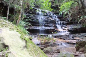 如何開始學習人類圖