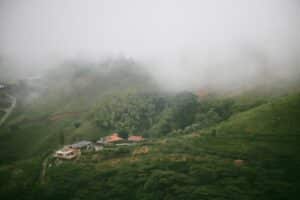 在未知的山路上前行，象徵人類圖不是算命，而是讓人在意外裡仍認得自己