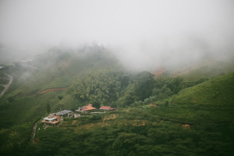 在未知的山路上前行，象徵人類圖不是算命，而是讓人在意外裡仍認得自己
